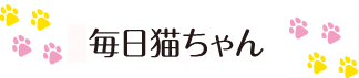 毎日猫ちゃん2012